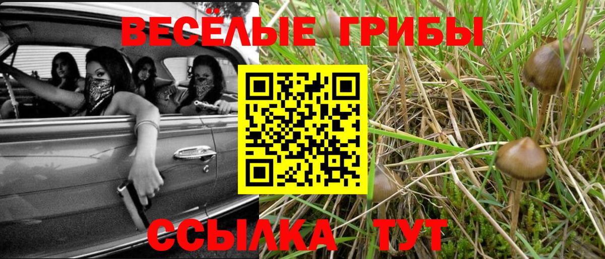 ГАШ Азов